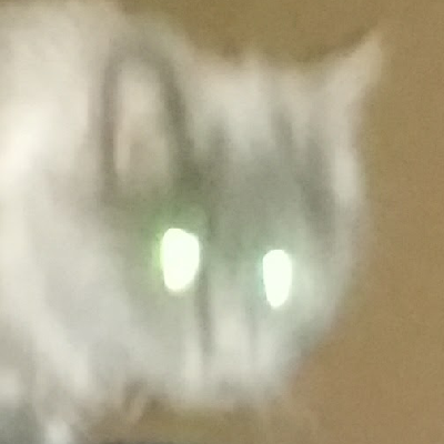 neko68k
